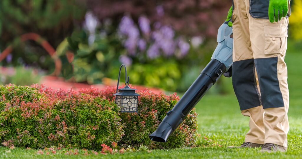 Used Battery Powered Leaf Blower