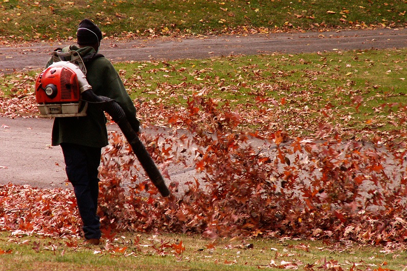 How to Use a Leaf Blower Effectively