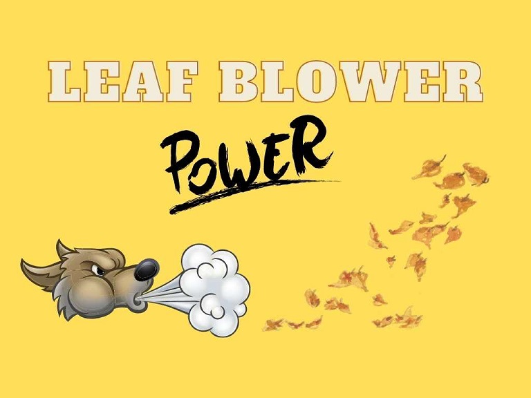 How much power do I need in a leaf blower